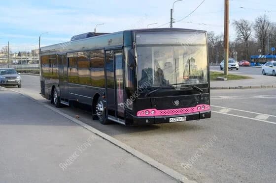 Патибас Круиз Аренда 1