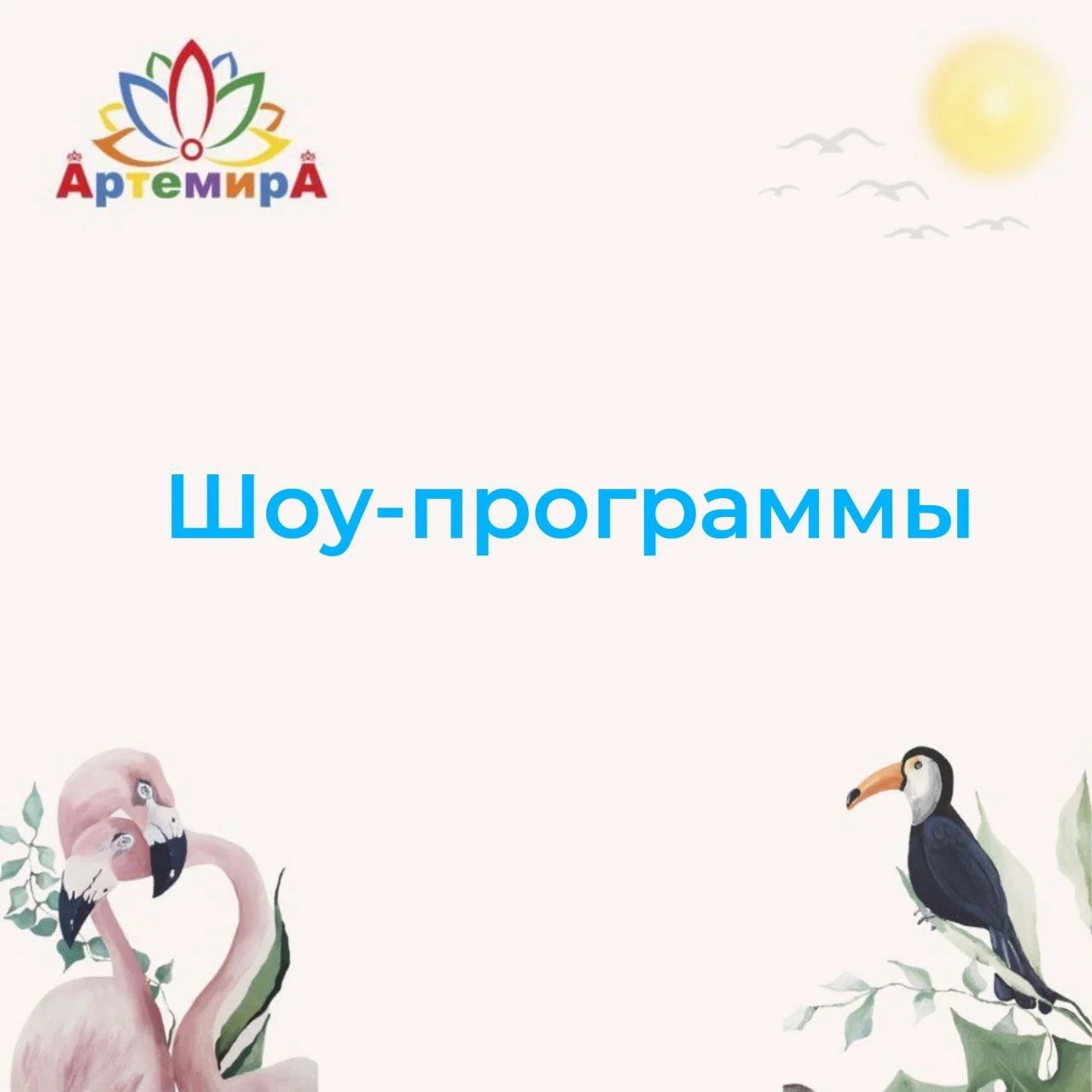 Шоу программы 1