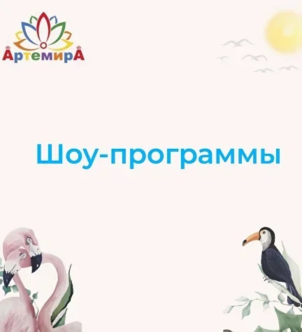 Шоу программы 2